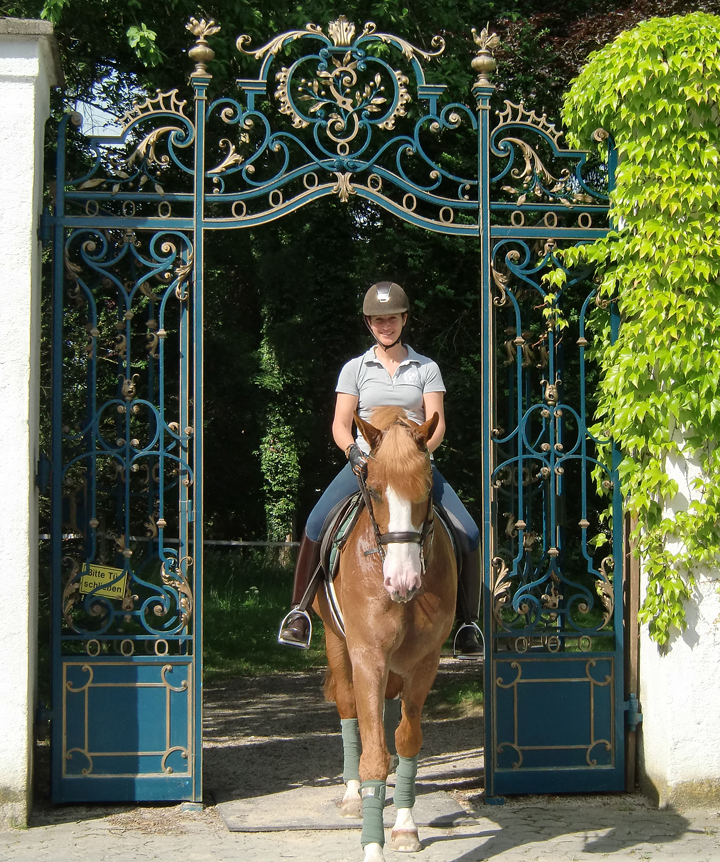 Castle-Gate-Achleiten-Haddad.jpg